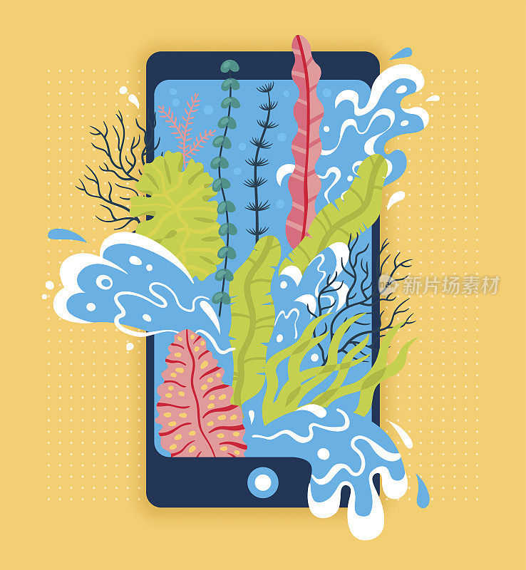 Concept of travel, seaweed and sea wave in phone screen, online ordering holiday vouchers